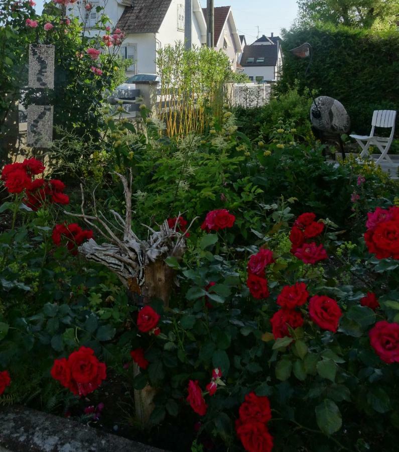 Gite Du Heron La Wantzenau Kültér fotó